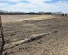 #6 C&E Trail North of Blackfalds, Rural Lacombe County, Alberta T0M 0J0, ,Land,For Sale,C&E Trail North of Blackfalds,A2292863