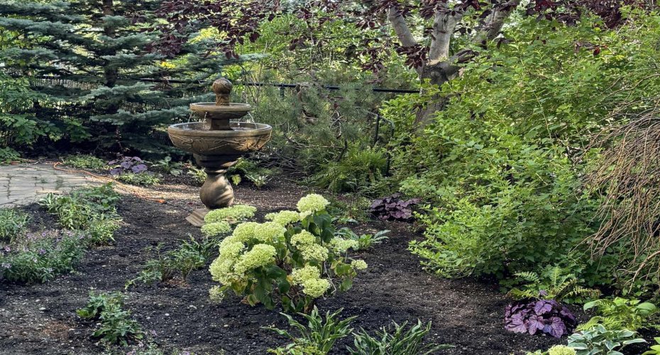 290 Tuscany Ridge Park, Calgary, Alberta T3L 2H8, 4 Bedrooms Bedrooms, ,3 BathroomsBathrooms,Residential,For Sale,Tuscany Ridge,A2292403