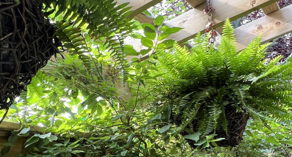 290 Tuscany Ridge Park, Calgary, Alberta T3L 2H8, 4 Bedrooms Bedrooms, ,3 BathroomsBathrooms,Residential,For Sale,Tuscany Ridge,A2292403