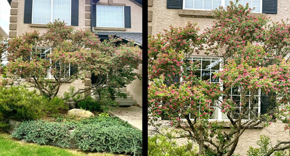 290 Tuscany Ridge Park, Calgary, Alberta T3L 2H8, 4 Bedrooms Bedrooms, ,3 BathroomsBathrooms,Residential,For Sale,Tuscany Ridge,A2292403