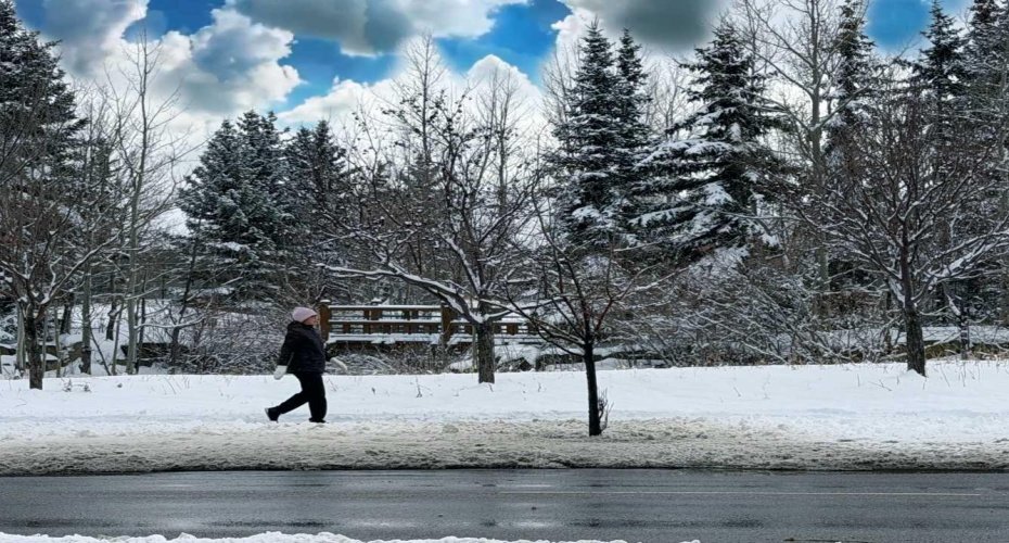 2518 Fish Creek Boulevard, Calgary, Alberta T2Y4T6, 2 Bedrooms Bedrooms, ,1 BathroomBathrooms,Residential,For Sale,Fish Creek,A2293223