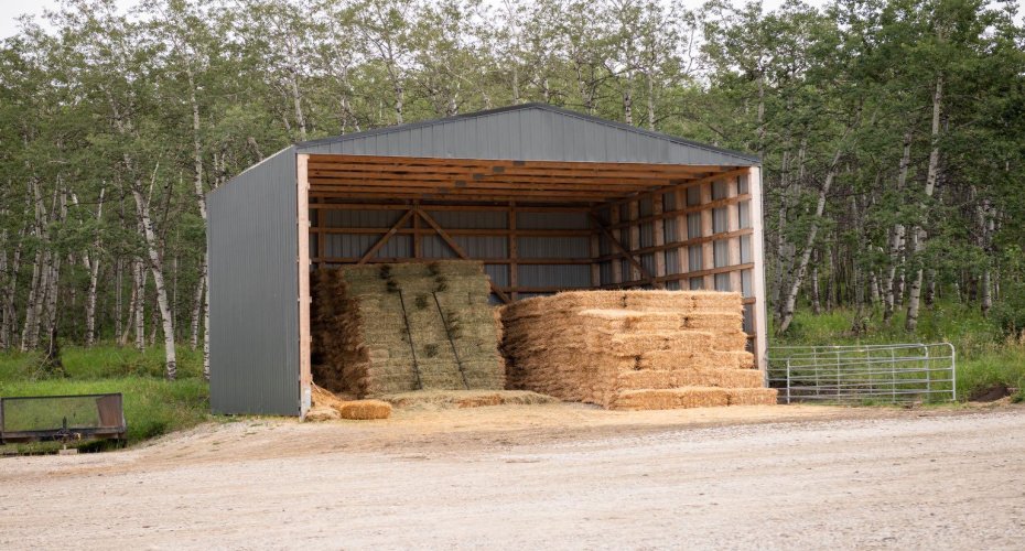 274216 112 Street, Millarville, Alberta T0L 1K0, ,2 BathroomsBathrooms,Agri-business,For Sale,112,A2293260