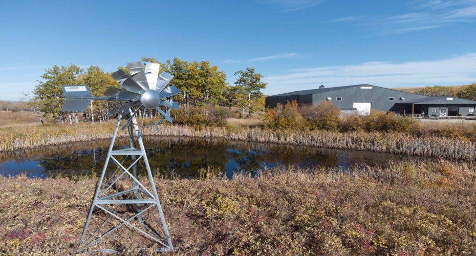 274216 112 Street, Millarville, Alberta T0L 1K0, ,2 BathroomsBathrooms,Agri-business,For Sale,112,A2293260