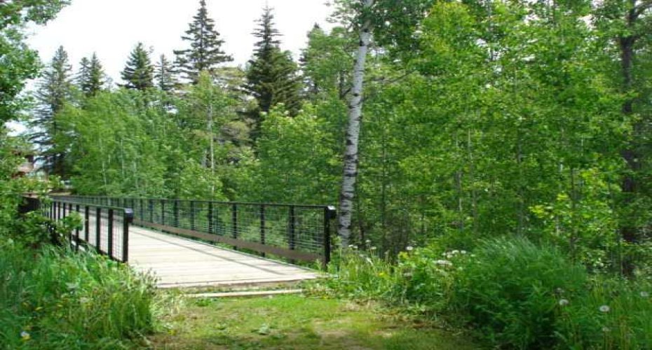 Walking Trails Near by