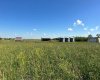 38503 Range Rd 12-3, Rural Paintearth No. 18, County of, Alberta T0C 0X0, 5 Bedrooms Bedrooms, ,2 BathroomsBathrooms,Agri-business,For Sale,Range Rd 12-3,A2293301