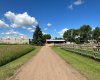 38403 Range Road 12-3, Rural Paintearth No. 18, County of, Alberta T0C 0X0, 5 Bedrooms Bedrooms, ,2 BathroomsBathrooms,Residential,For Sale,Range Road 12-3,A2293303