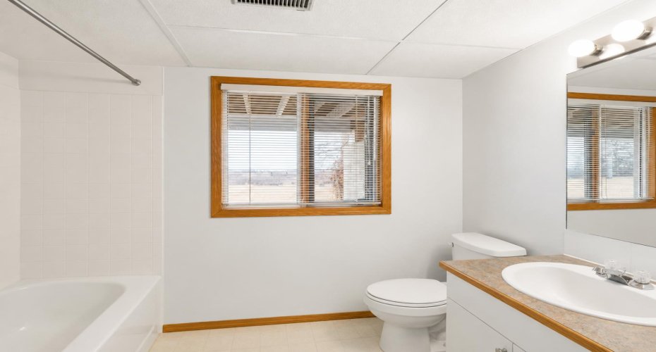 lower level bathroom
