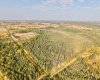 233077 Highway 2, Rural Peace No. 135, M.D. of, Alberta T0H 1W0, 5 Bedrooms Bedrooms, ,3 BathroomsBathrooms,Residential,For Sale,Highway 2,A2293580