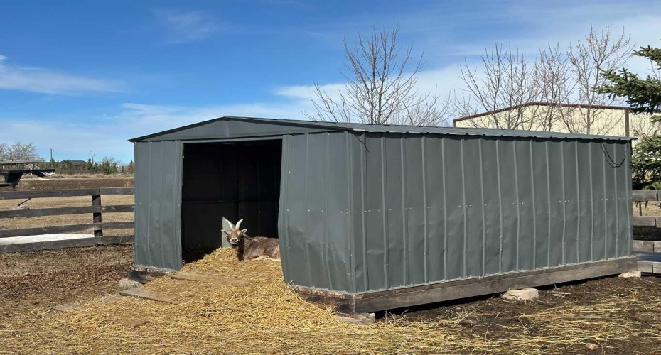 animal shelter