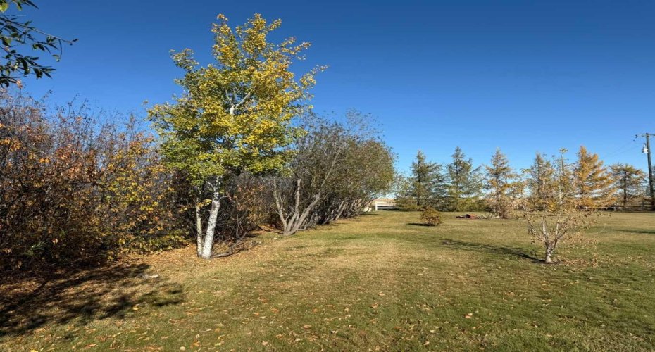 tree windbreak on west side of home