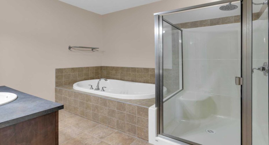 Soaker Tub and Separate Shower