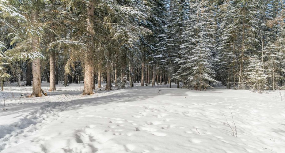 744044 Range Road 51, Sexsmith, Alberta T0H3C0, 4 Bedrooms Bedrooms, ,3 BathroomsBathrooms,Residential,For Sale,Range Road 51,A2290406