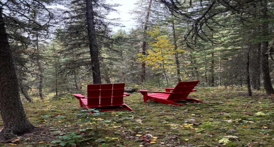 744044 Range Road 51, Sexsmith, Alberta T0H3C0, 4 Bedrooms Bedrooms, ,3 BathroomsBathrooms,Residential,For Sale,Range Road 51,A2290406