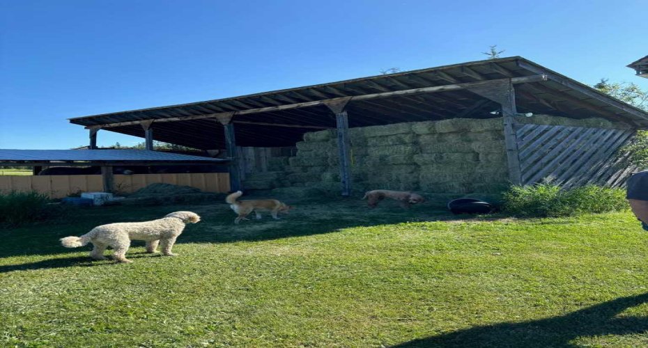 744044 Range Road 51, Sexsmith, Alberta T0H3C0, 4 Bedrooms Bedrooms, ,3 BathroomsBathrooms,Residential,For Sale,Range Road 51,A2290406