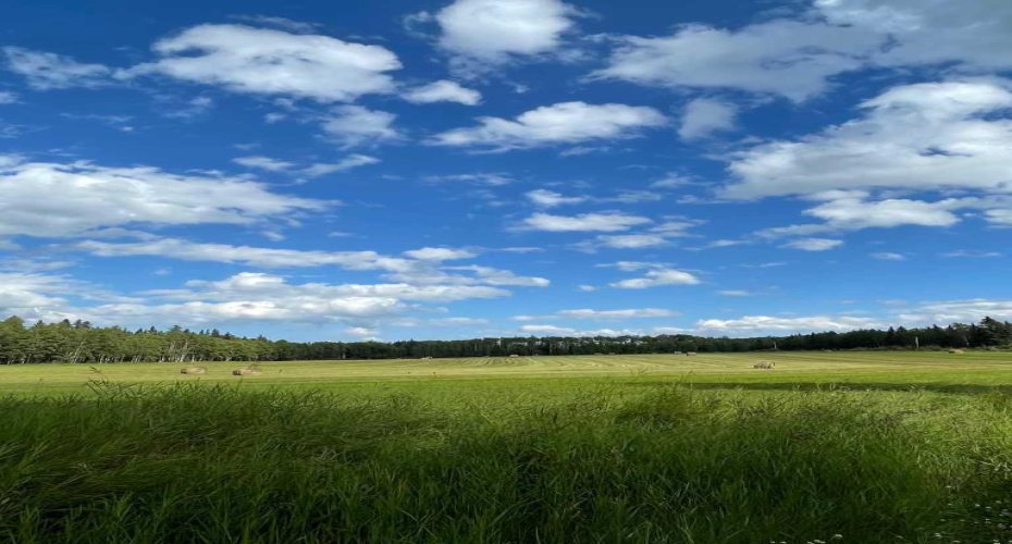 744044 Range Road 51, Sexsmith, Alberta T0H3C0, 4 Bedrooms Bedrooms, ,3 BathroomsBathrooms,Residential,For Sale,Range Road 51,A2290406