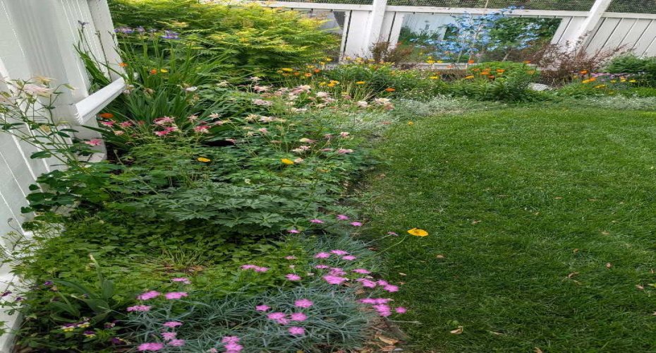 10 Patterson Crescent, Red Deer, Alberta T4P 1J5, 3 Bedrooms Bedrooms, ,2 BathroomsBathrooms,Residential,For Sale,Patterson,A2290413