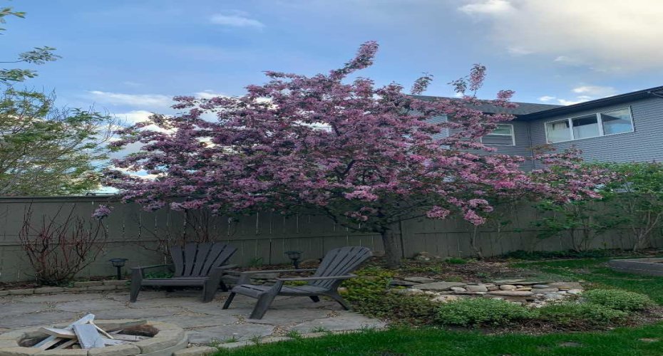 280 Coopers Hill, Airdrie, Alberta T4B 0R9, 4 Bedrooms Bedrooms, ,4 BathroomsBathrooms,Residential,For Sale,Coopers,A2290498