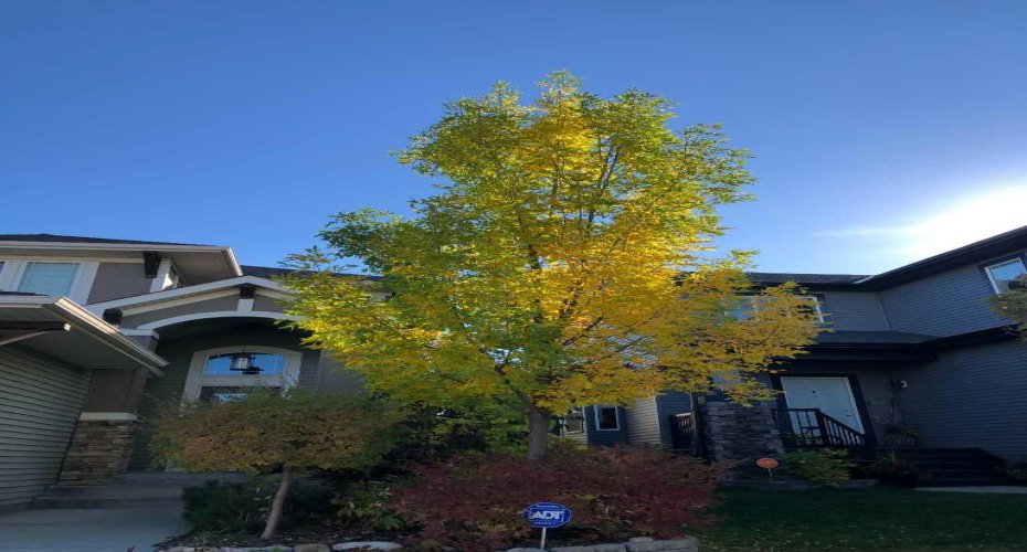 280 Coopers Hill, Airdrie, Alberta T4B 0R9, 4 Bedrooms Bedrooms, ,4 BathroomsBathrooms,Residential,For Sale,Coopers,A2290498