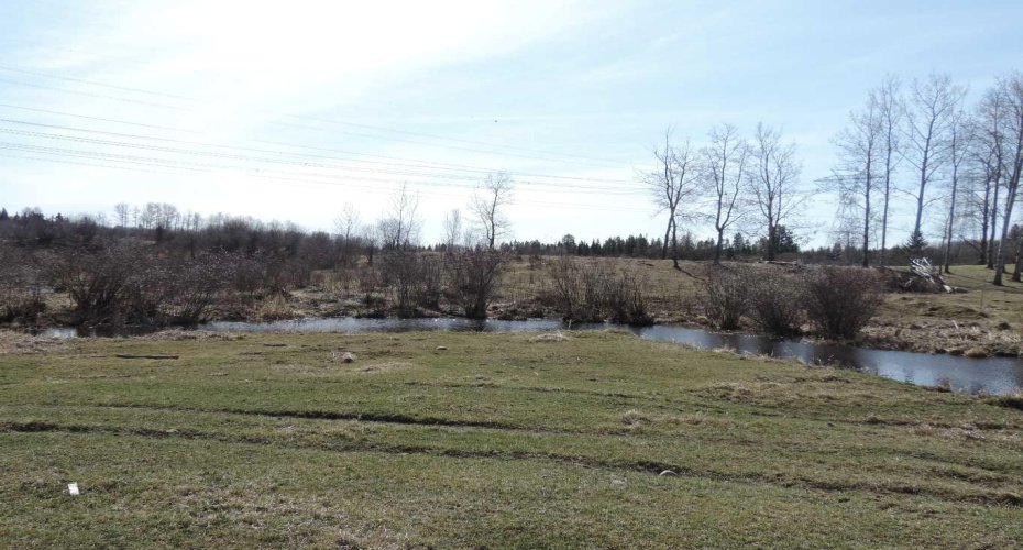 On TWP 43, Hoadley, Alberta T0C 2J0, ,Land,For Sale,TWP 43,A2293363