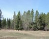 On TWP 43, Hoadley, Alberta T0C 2J0, ,Land,For Sale,TWP 43,A2293363