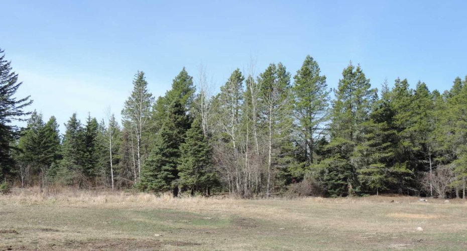 On TWP 43, Hoadley, Alberta T0C 2J0, ,Land,For Sale,TWP 43,A2293363
