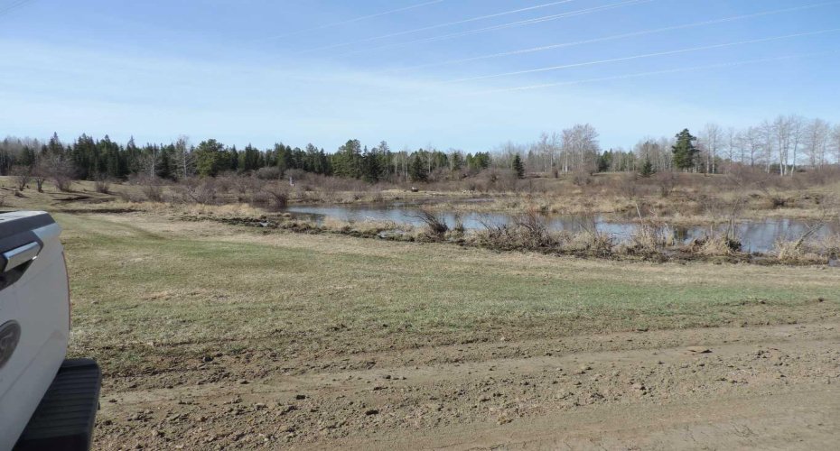 On TWP 43, Hoadley, Alberta T0C 2J0, ,Land,For Sale,TWP 43,A2293363