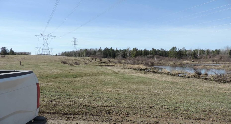 On TWP 43, Hoadley, Alberta T0C 2J0, ,Land,For Sale,TWP 43,A2293363
