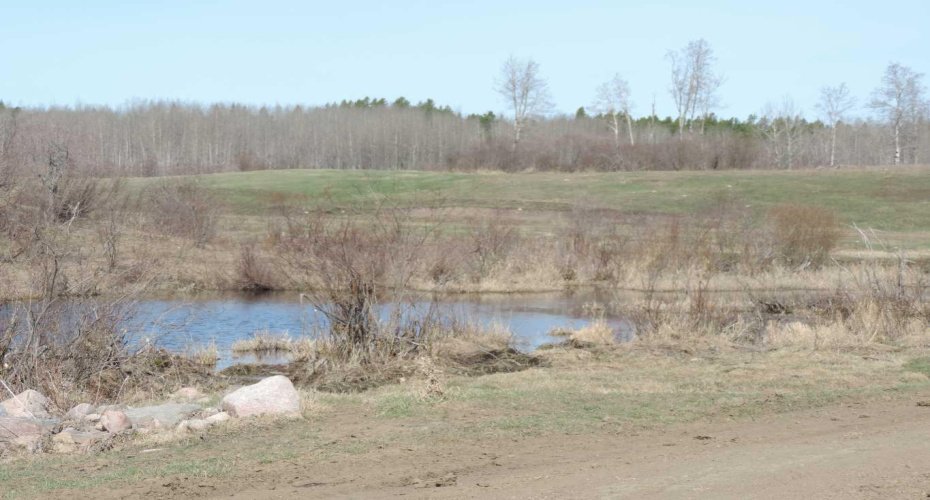 On TWP 43, Hoadley, Alberta T0C 2J0, ,Land,For Sale,TWP 43,A2293363