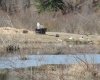 On TWP 43, Hoadley, Alberta T0C 2J0, ,Land,For Sale,TWP 43,A2293363