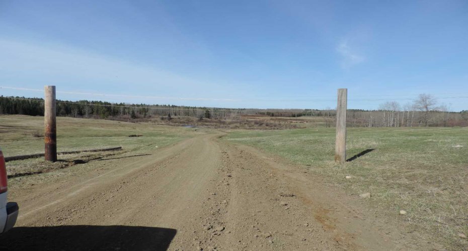 On TWP 43, Hoadley, Alberta T0C 2J0, ,Land,For Sale,TWP 43,A2293363