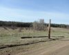 On TWP 43, Hoadley, Alberta T0C 2J0, ,Land,For Sale,TWP 43,A2293363