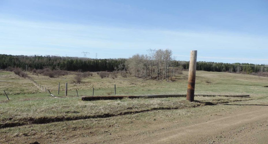 On TWP 43, Hoadley, Alberta T0C 2J0, ,Land,For Sale,TWP 43,A2293363