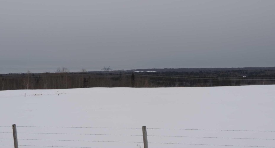 On TWP 43, Hoadley, Alberta T0C 2J0, ,Land,For Sale,TWP 43,A2293363