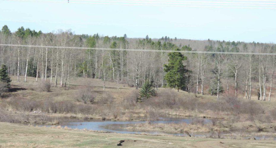 On TWP 43, Hoadley, Alberta T0C 2J0, ,Land,For Sale,TWP 43,A2293363