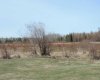 On TWP 43, Hoadley, Alberta T0C 2J0, ,Land,For Sale,TWP 43,A2293363