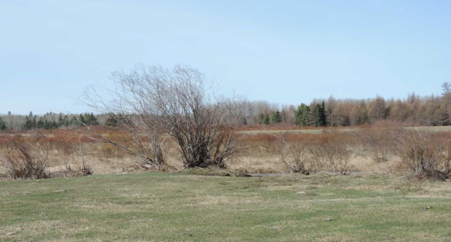 On TWP 43, Hoadley, Alberta T0C 2J0, ,Land,For Sale,TWP 43,A2293363