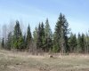 On TWP 43, Hoadley, Alberta T0C 2J0, ,Land,For Sale,TWP 43,A2293363