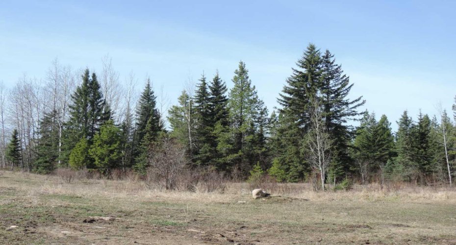 On TWP 43, Hoadley, Alberta T0C 2J0, ,Land,For Sale,TWP 43,A2293363