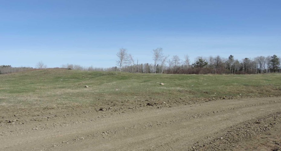 On TWP 43, Hoadley, Alberta T0C 2J0, ,Land,For Sale,TWP 43,A2293363