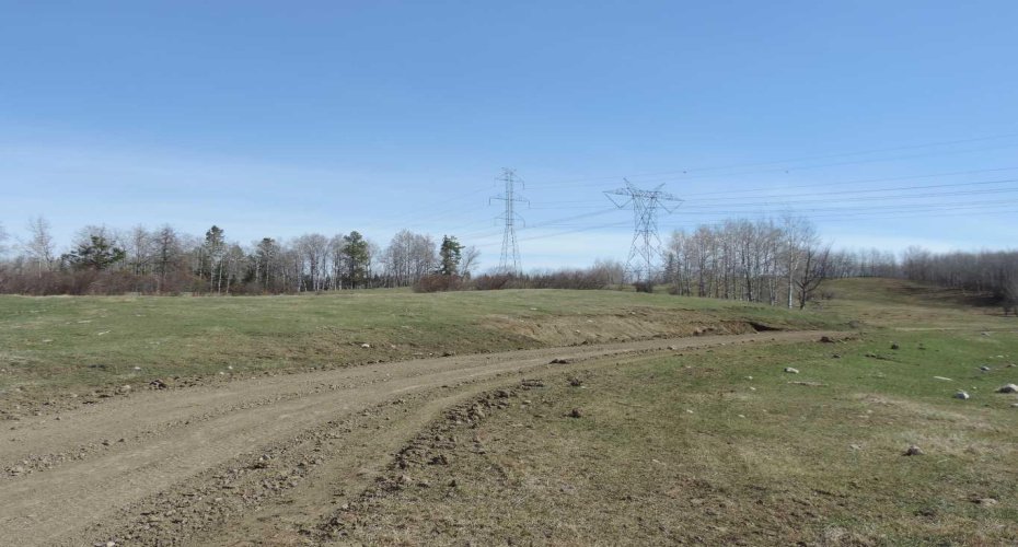 On TWP 43, Hoadley, Alberta T0C 2J0, ,Land,For Sale,TWP 43,A2293363