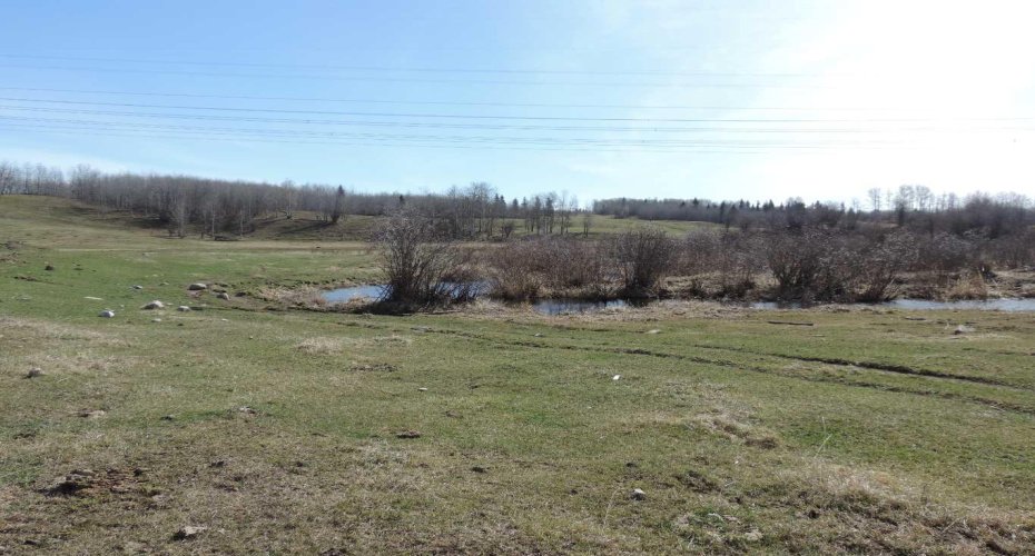On TWP 43, Hoadley, Alberta T0C 2J0, ,Land,For Sale,TWP 43,A2293363