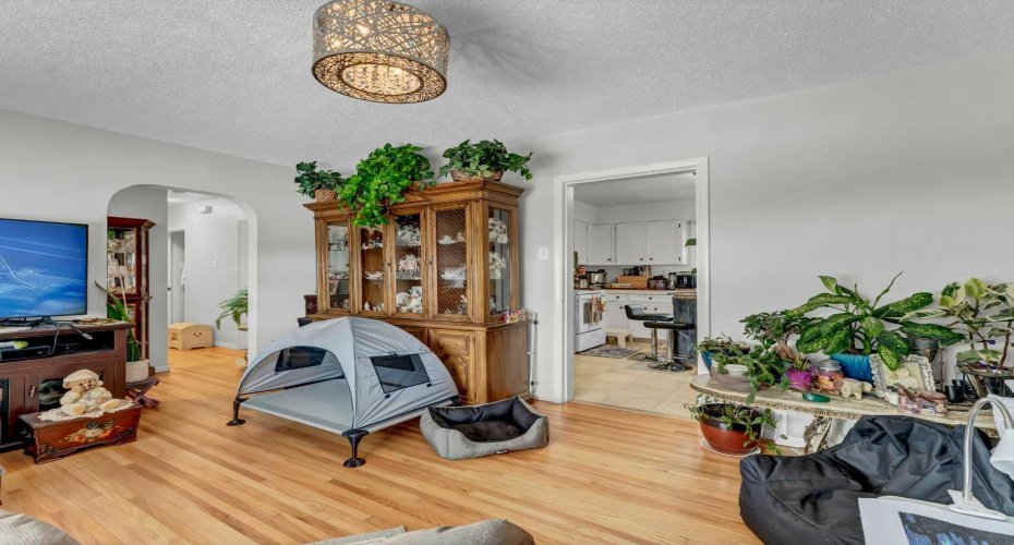 237 7 Street, Medicine Hat, Alberta T1A4K2, 4 Bedrooms Bedrooms, ,2 BathroomsBathrooms,Residential,For Sale,7,A2293578