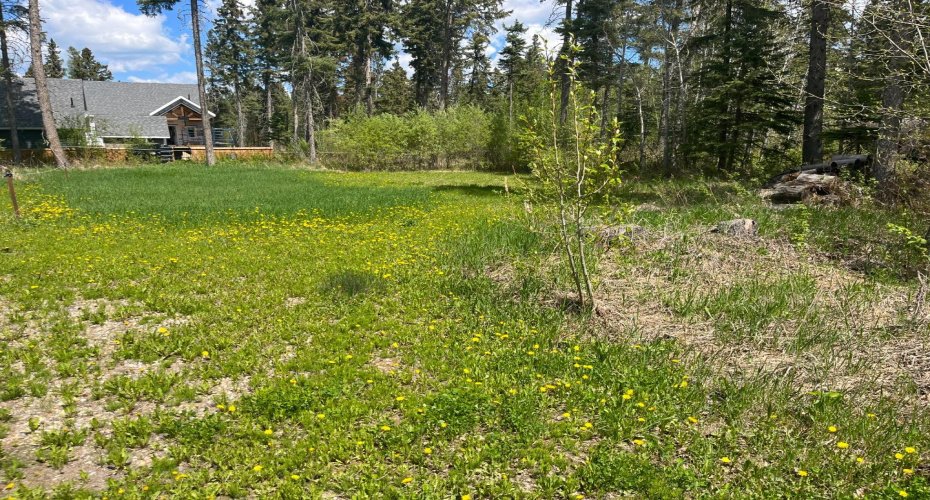 807 Brightsand Crescent, Brightsand Lake, Saskatchewan S0M 0H0, ,Land,For Sale,Brightsand,A2293610