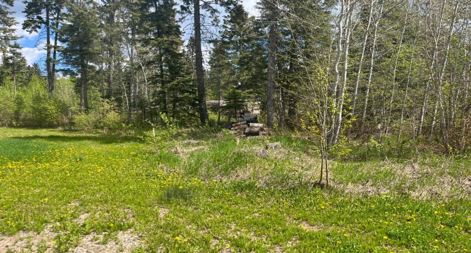 807 Brightsand Crescent, Brightsand Lake, Saskatchewan S0M 0H0, ,Land,For Sale,Brightsand,A2293610
