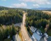 Drone shot Trail Area