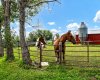 12228 Range Road 64, Rural Cypress County, Alberta T1A7G5, 2 Bedrooms Bedrooms, ,1 BathroomBathrooms,Residential,For Sale,Range Road 64,A2294021