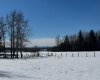 414006 Range Road 6-3, Rural Clearwater County, Alberta T4T2A1, ,Land,For Sale,Range Road 6-3,A2294048