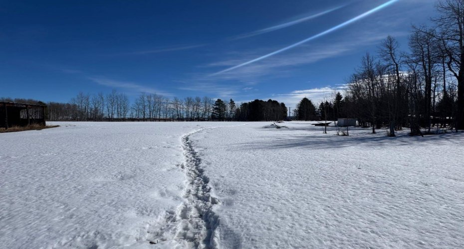 414006 Range Road 6-3, Rural Clearwater County, Alberta T4T2A1, ,Land,For Sale,Range Road 6-3,A2294048