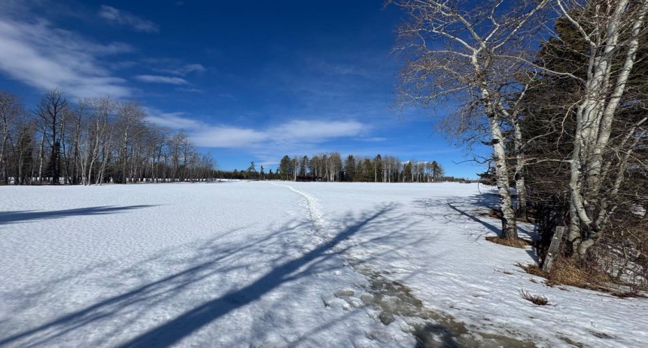 414006 Range Road 6-3, Rural Clearwater County, Alberta T4T2A1, ,Land,For Sale,Range Road 6-3,A2294048