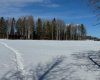414006 Range Road 6-3, Rural Clearwater County, Alberta T4T2A1, ,Land,For Sale,Range Road 6-3,A2294048